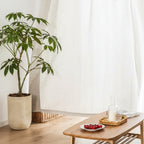 Voilage Essentiel